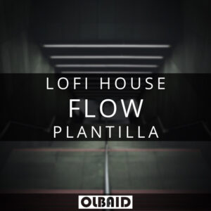 Flow – Plantilla