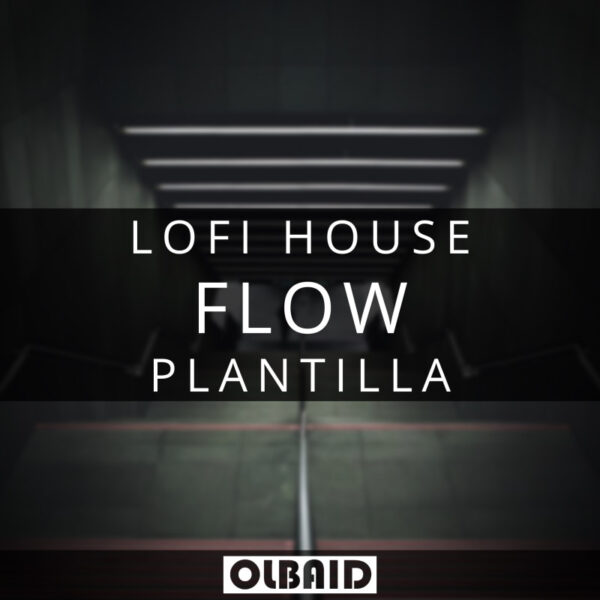 Flow - Plantilla
